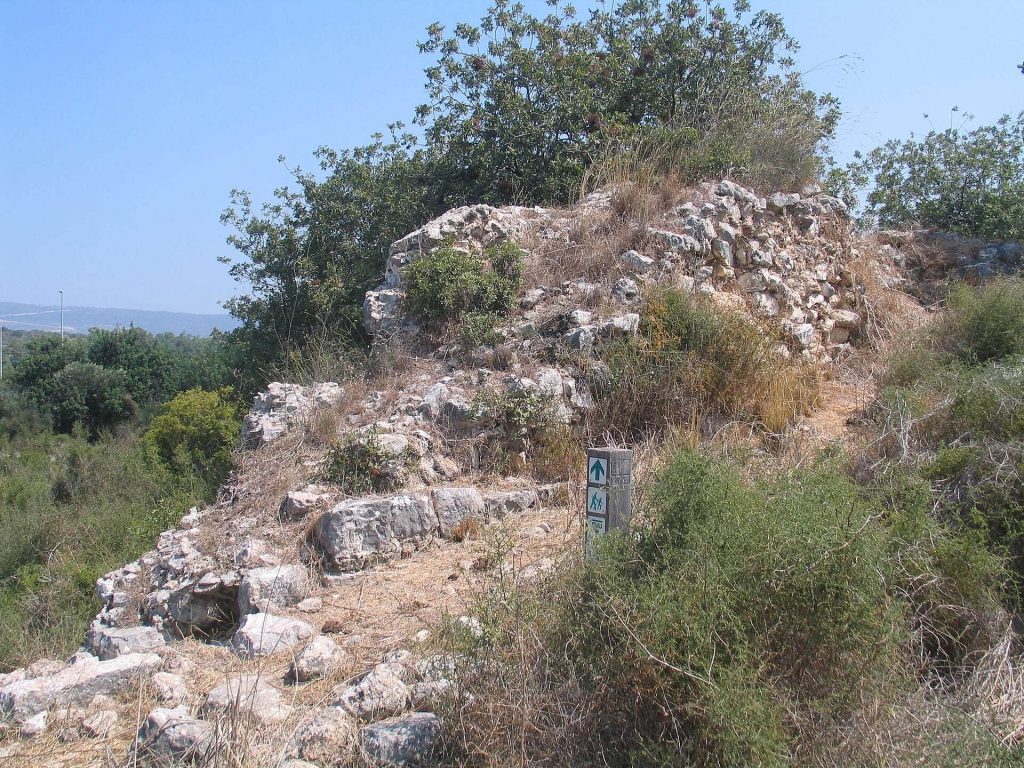 Hurvat Manot: A Crusader Sugar-Producing Farm in Israel 3 Hurvat Manot