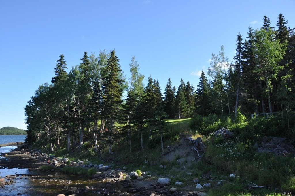Boyd's Cove Beothuk: An Archaeological Site in Newfoundland 2 Boyd's Cove Beothuk