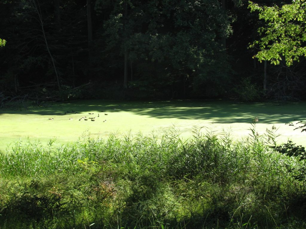 Stony Point Battlefield: Site of a 1779 Revolutionary War Battle 4 Stony Point Battlefield