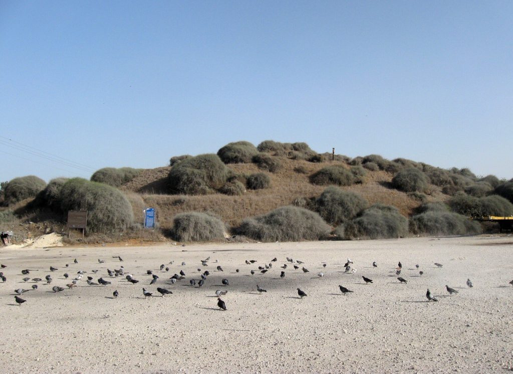 Tel Mor: An Ancient Port Settlement of Ashdod 2 Tel Mor