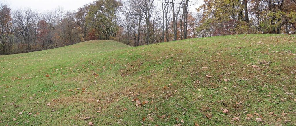 Toolesboro Mound Group: Havana Hopewell Burial Earthworks in Iowa 1 Toolesboro Mound Group