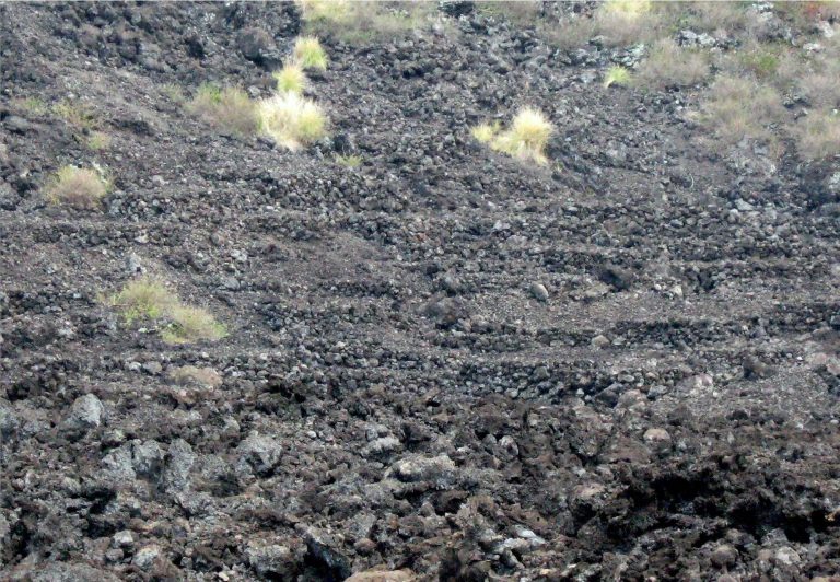 Kuamoʻo Burials: A Hawaiian Battle Burial Ground