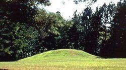 Bynum Mound and Village Site: A Middle Woodland Burial and Habitation Complex 1 Bynum Mound and Village Site