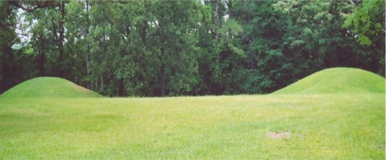 Bynum Mound and Village Site: A Middle Woodland Burial and Habitation Complex 2 Bynum Mound and Village Site