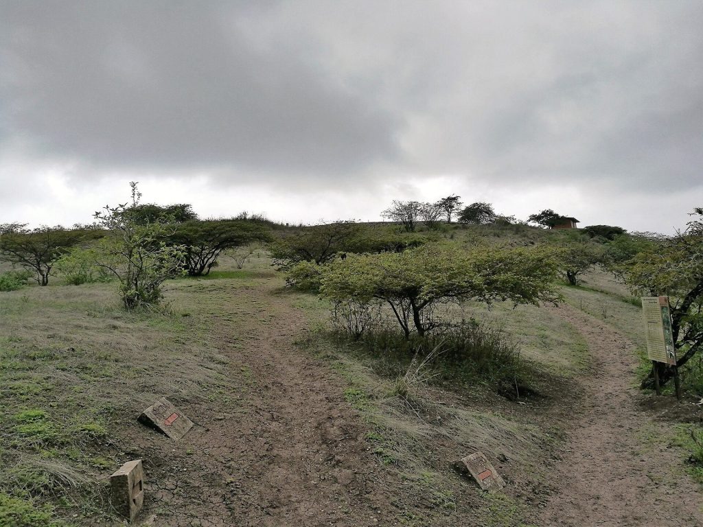 Kuntur Wasi: A Pre-Columbian Ceremonial Center in Peru 4 Kuntur Wasi