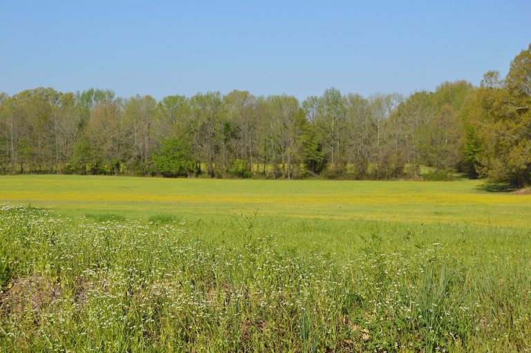 Siege and Battle of Corinth Sites: Civil War Battlefield and Defensive District