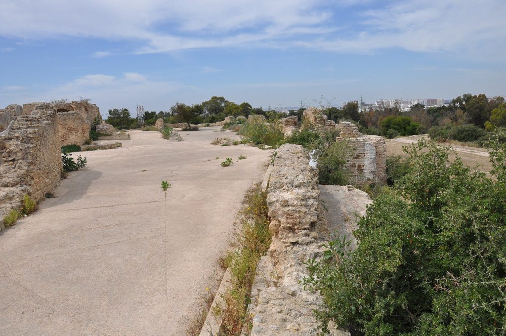 Cisterns of La Malga: A Roman Hydraulic Complex at Carthage 2 Cisterns of La Malga
