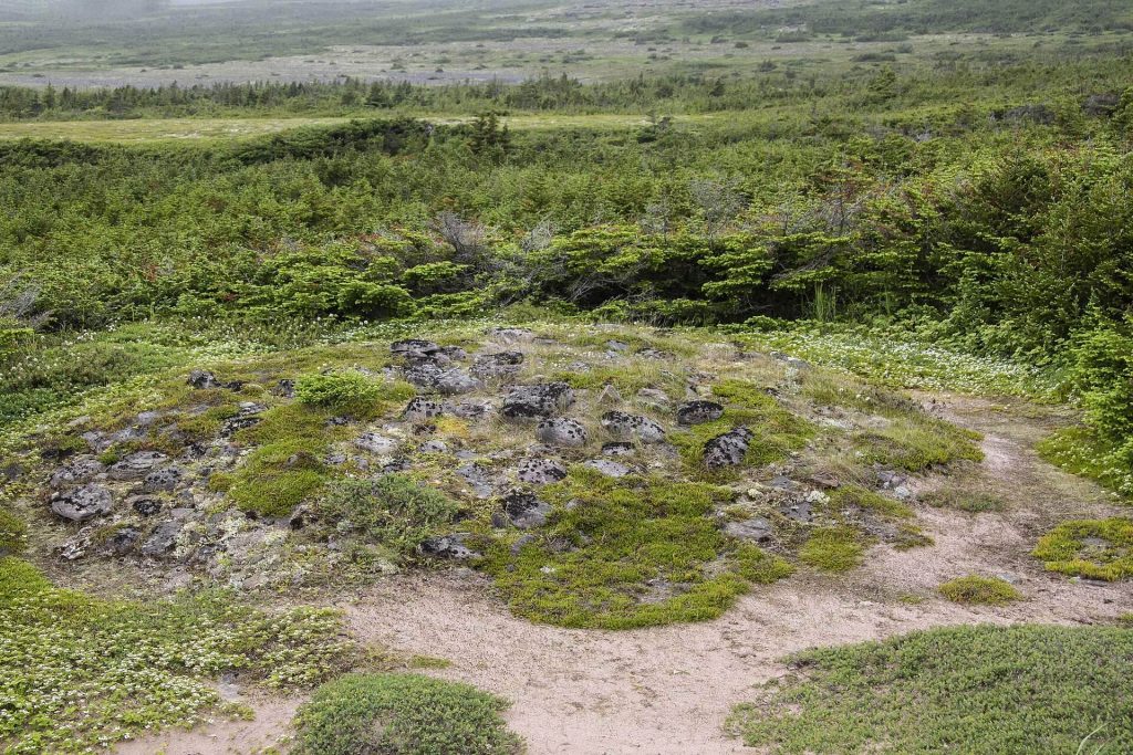 L'Anse Amour Archaeological Site: A Maritime Archaic Burial Monument in Labrador 2 L'Anse Amour archeological site