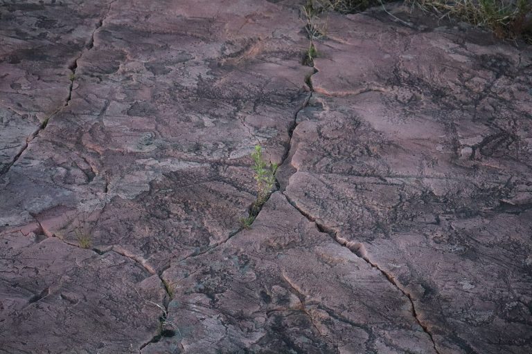 Jeffers Petroglyphs: A Native American Rock-Art Site in Minnesota