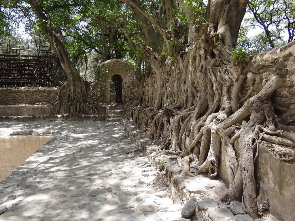 Fasilides' Bath: A Royal Timkat Bathing Complex in Gondar 2 Fasilides' Bath