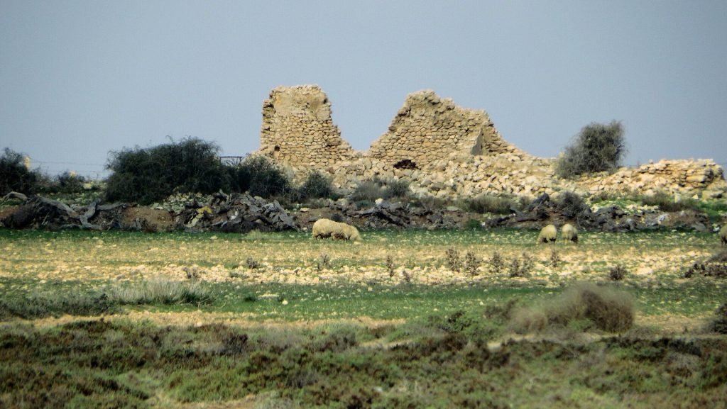 Acholla: An Ancient Punic and Roman Coastal City 4 Acholla