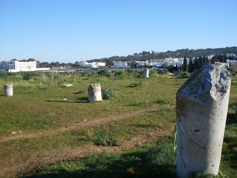 Basilica Majorum of Carthage: A Christian Martyrs’ Basilica in Tunisia