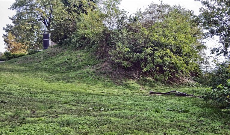 Sugarloaf Mound: A Mississippian Platform Mound in St. Louis