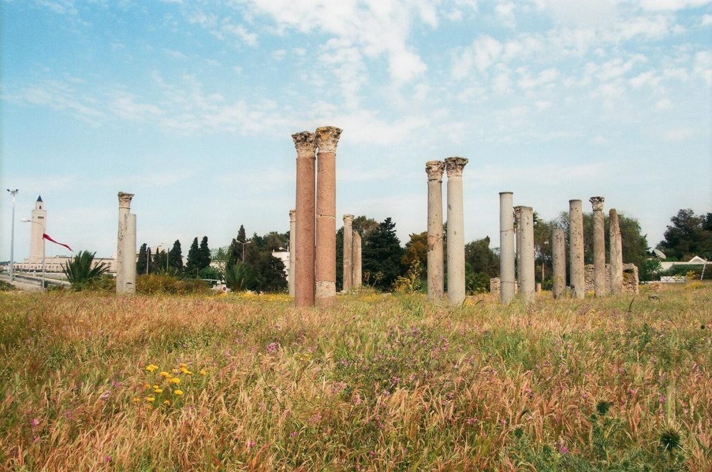 Building with Columns of Carthage: A Roman-Period Ruin 2 Building with columns of Carthage