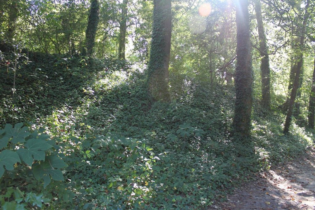 Fort Boykin: A Historic Military Earthwork on the James River 1 Fort Boykin