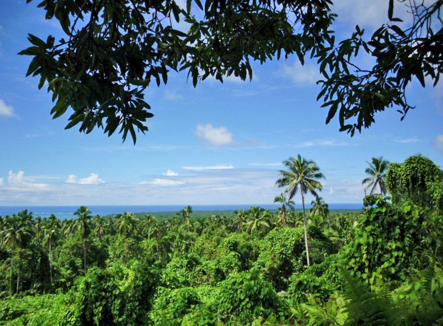 Pulemelei Mound: An Archaeological Monument in Samoa 1 Pulemelei Mound