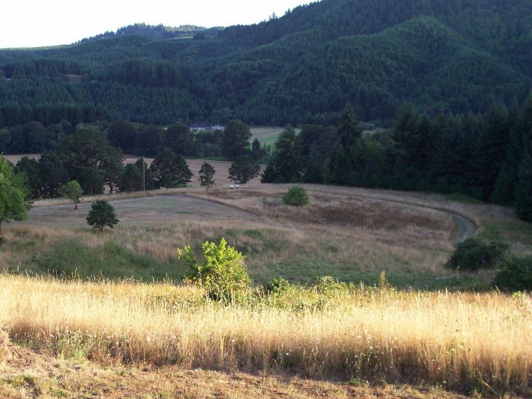 Fort Hoskins: A U.S. Army Post in Oregon