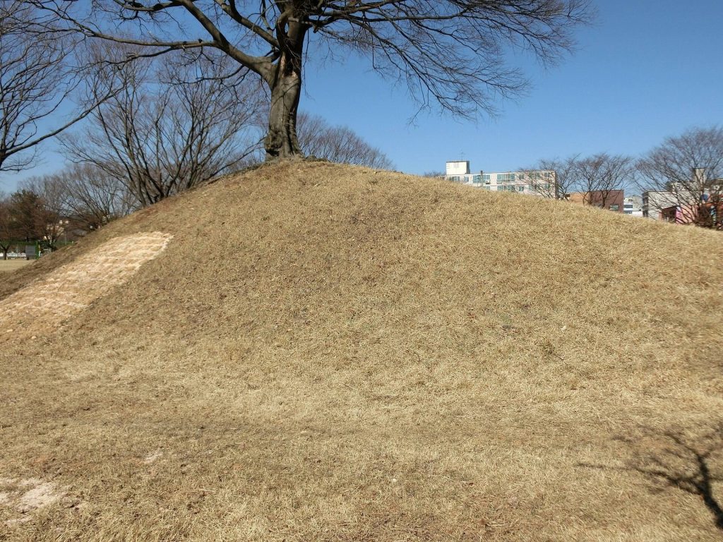 Gold Crown Tomb: A Silla Royal Burial Mound in Gyeongju 1 Gold Crown Tomb