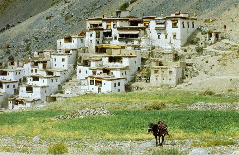 Lingshed Monastery: A Gelug Buddhist Monastery in Ladakh