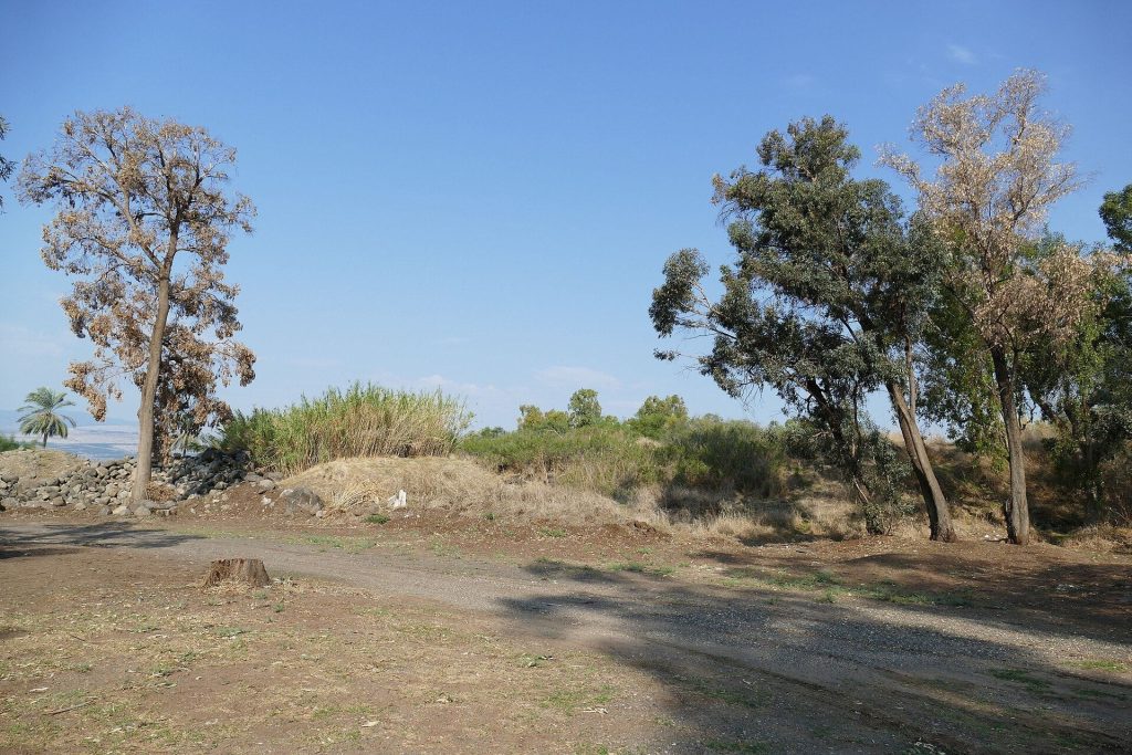 Tell Hadar: A Bronze and Iron Age Port and Fortified Settlement in Israel 1 Tell Hadar