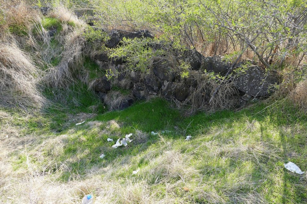 Tell Hadar: A Bronze and Iron Age Port and Fortified Settlement in Israel 2 Tell Hadar