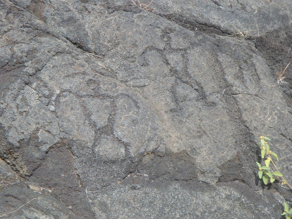 Puʻu Loa Petroglyphs: A Sacred Hawaiian Rock-Art Site 2 Puʻu Loa Petroglyphs