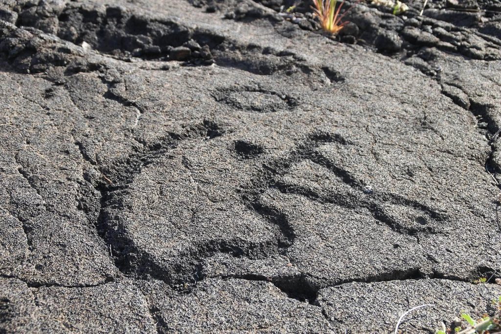 Puʻu Loa Petroglyphs: A Sacred Hawaiian Rock-Art Site 4 Puʻu Loa Petroglyphs