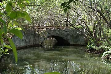 Arch Creek: A Historic and Archaeological Site in North Miami Beach