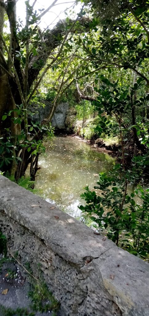 Arch Creek: A Historic and Archaeological Site in North Miami Beach 2 Arch Creek