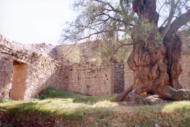Wari Willka: A Wari and Huanca Sanctuary in Peru