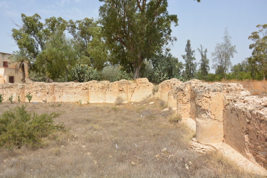 Raqqada: An Aghlabid Royal City and Archaeological Site in Tunisia 3 Raqqada