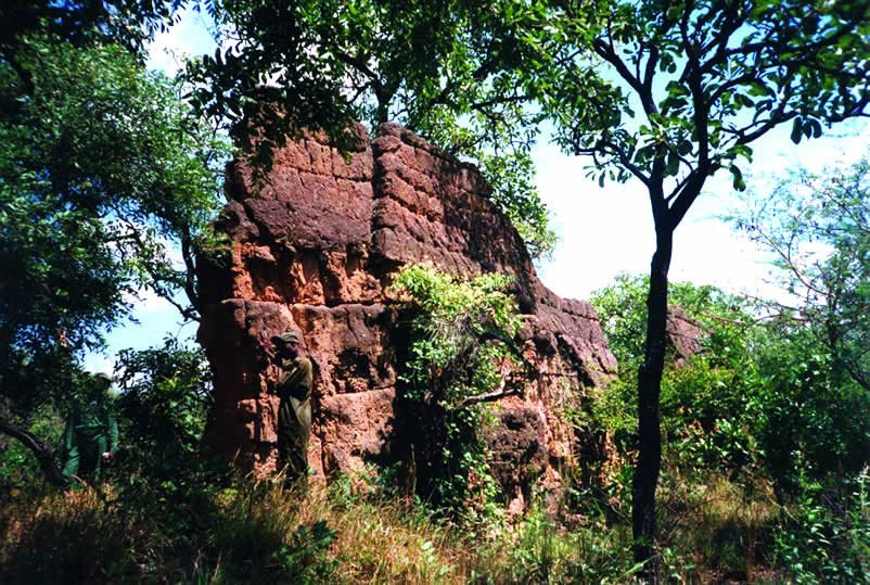 Sungbo's Eredo: A Vast Defensive Earthwork in Nigeria 1 Sungbo's Eredo