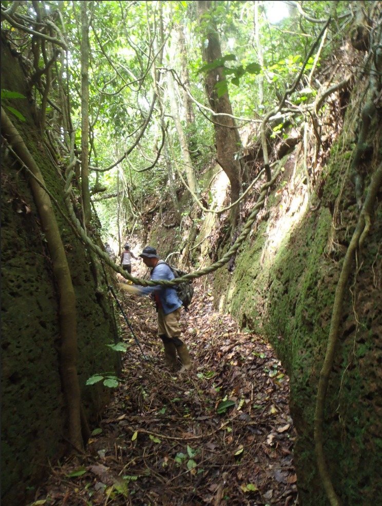 Sungbo's Eredo: A Vast Defensive Earthwork in Nigeria 2 Sungbo's Eredo