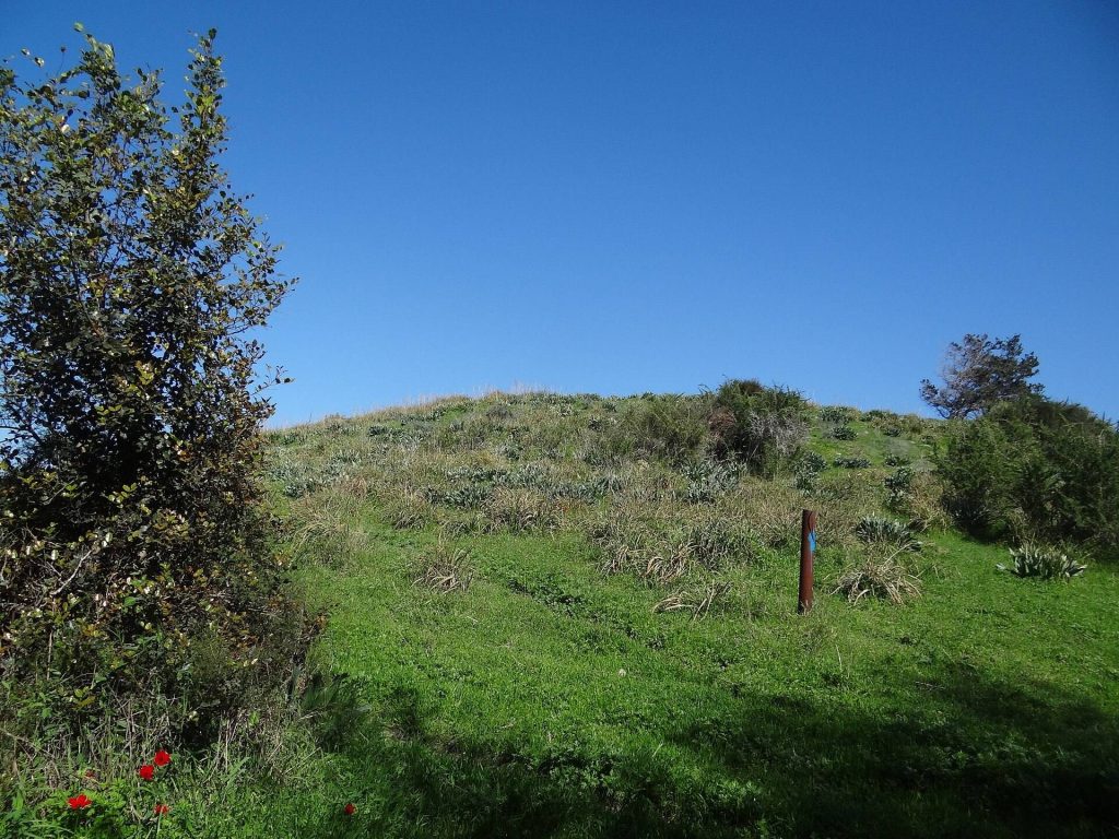 Tel Mevorakh: A Multi-Period Settlement Mound in Israel 1 Tel Mevorakh