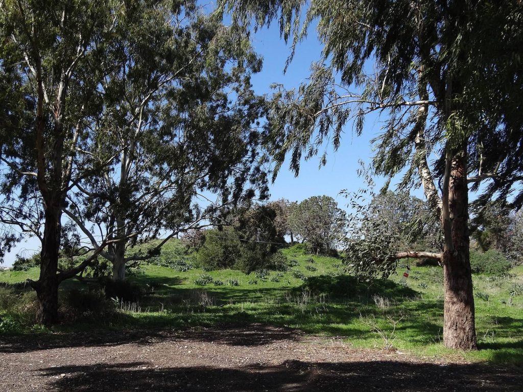 Tel Mevorakh: A Multi-Period Settlement Mound in Israel 2 Tel Mevorakh