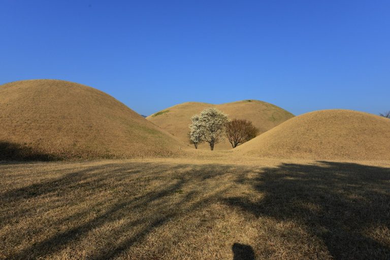 Daereungwon: A Silla Royal and Aristocratic Tomb Complex in Gyeongju