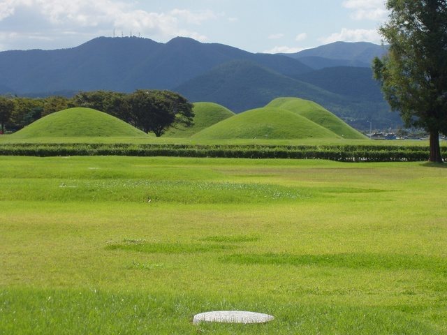 Daereungwon: A Silla Royal and Aristocratic Tomb Complex in Gyeongju 3 Daereungwon
