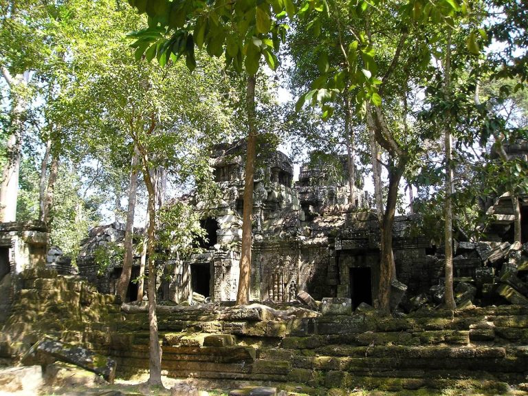 Ta Nei: A Buddhist Temple Complex in Angkor, Cambodia