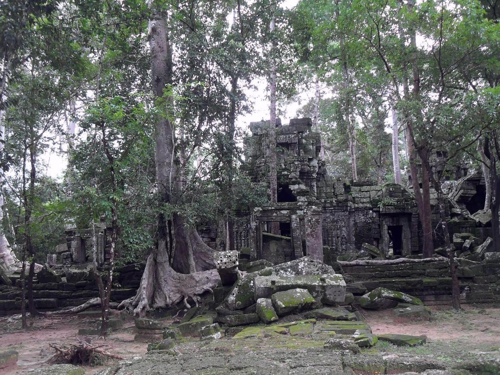 Ta Nei: A Buddhist Temple Complex in Angkor, Cambodia 3 Ta Nei