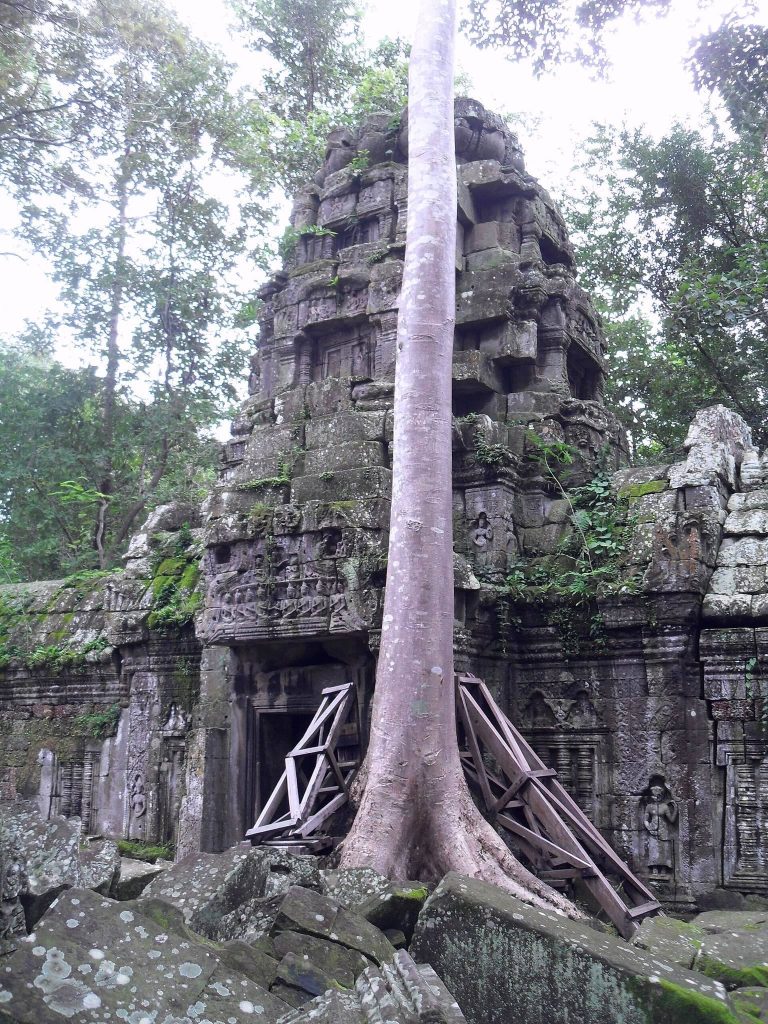 Ta Nei: A Buddhist Temple Complex in Angkor, Cambodia 5 Ta Nei