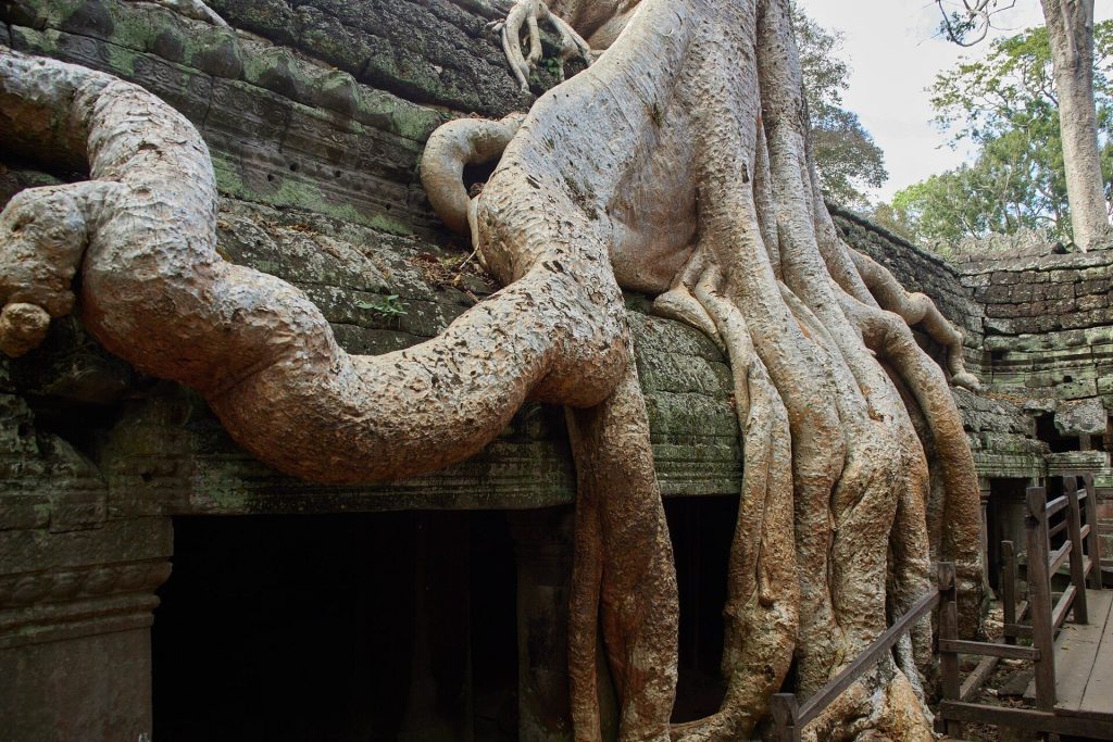 Ta Prohm Kel: A Buddhist Hospital Chapel at Angkor 3 Ta Prohm Kel