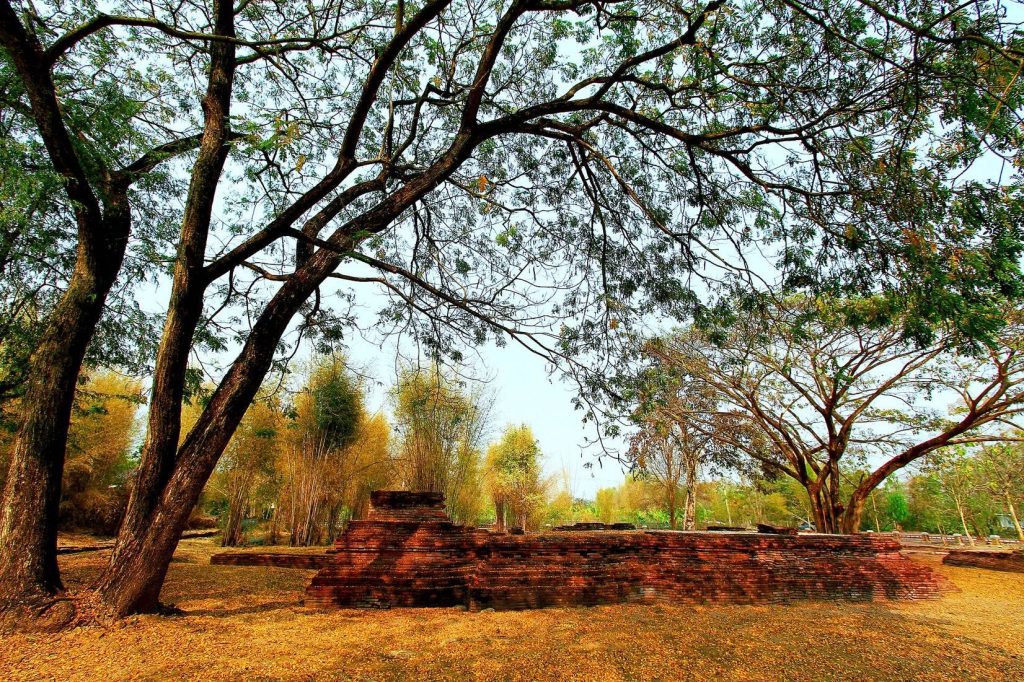 Wiang Tha Kan: An Enclosed Ancient Town of Hariphunchai and Lan Na 3 Wiang Tha Kan