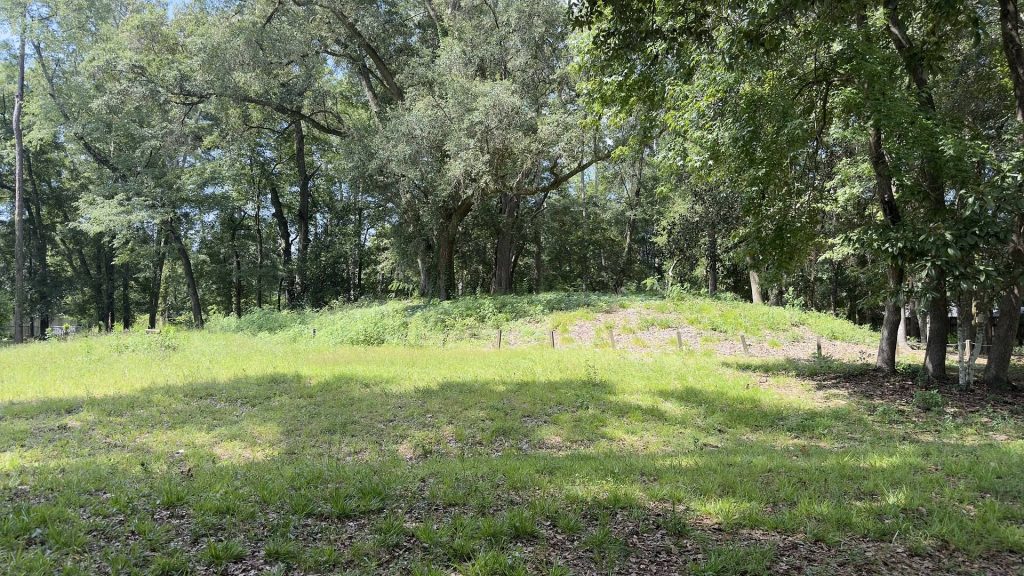 Velda Mound: A Fort Walton Platform Mound in Florida 1 Velda Mound
