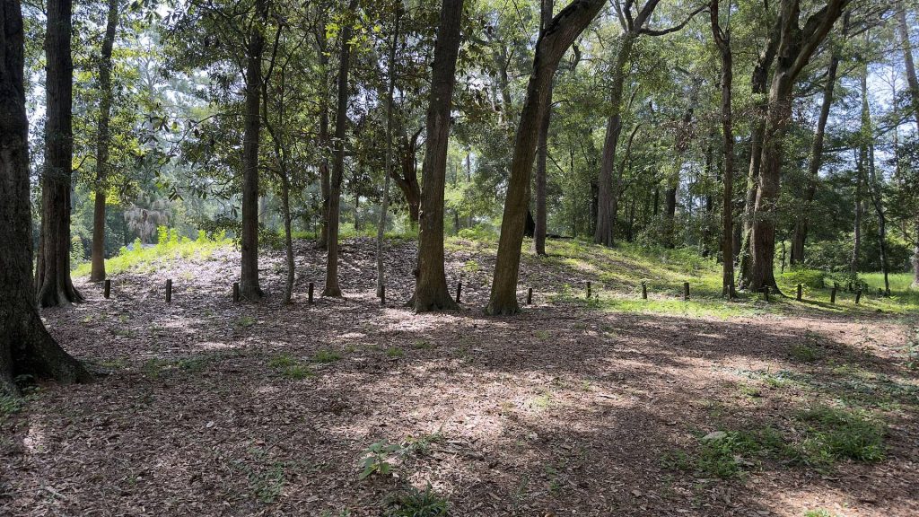 Velda Mound: A Fort Walton Platform Mound in Florida 2 Velda Mound