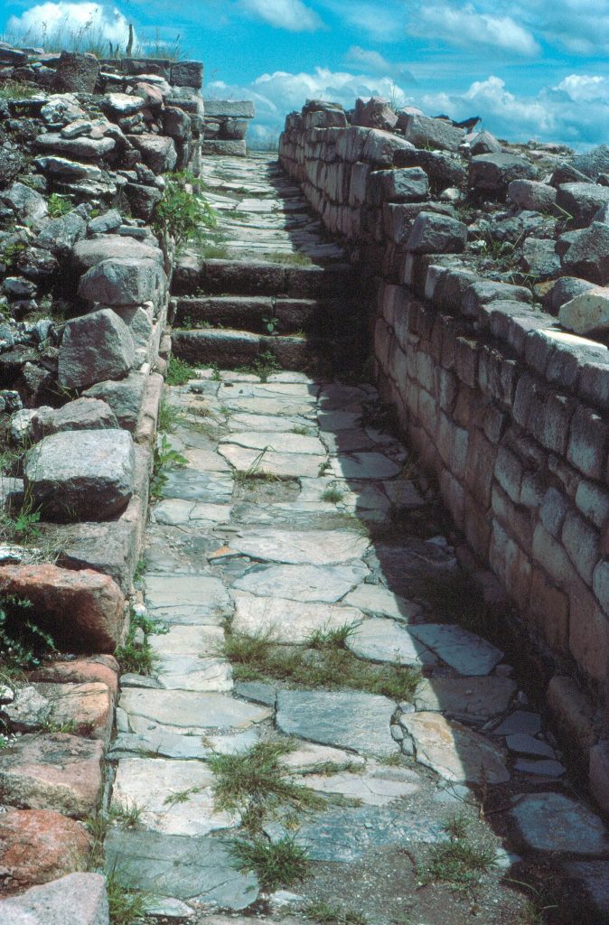 Cuetlajuchitlán: A Mesoamerican Archaeological Settlement in Guerrero 5 Cuetlajuchitlán