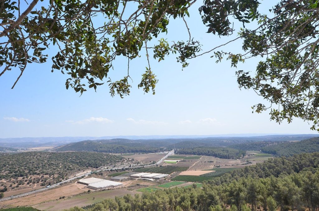 Adullam Grove Nature Reserve: A Protected Woodland and Archaeological Landscape 2 Adullam Grove Nature Reserve