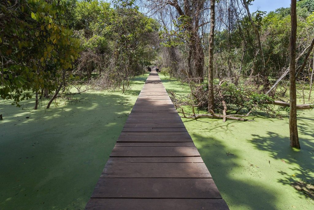 Neak Pean: A Buddhist Healing Temple on an Angkorian Reservoir 3 Neak Pean