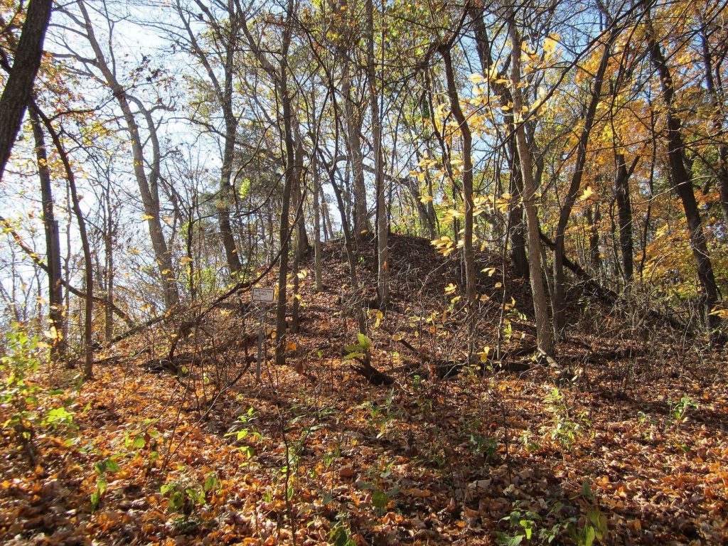Naples Mound 8: A Hopewell Burial Mound in Illinois 1 Naples Mound 8
