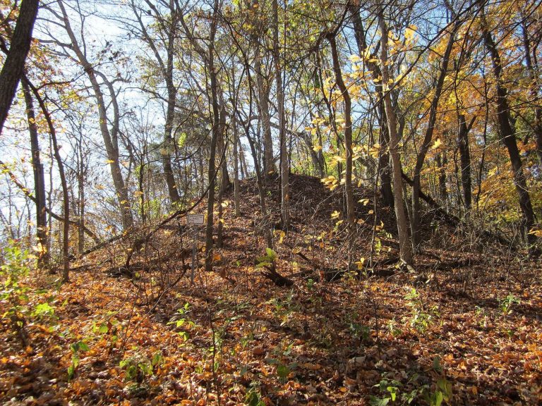Naples Mound 8: A Hopewell Burial Mound in Illinois