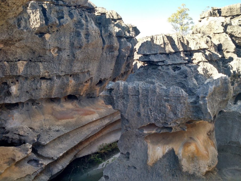 Lajedo de Soledade: A Prehistoric Archaeological and Paleontological Site in Brazil 2 Lajedo de Soledade